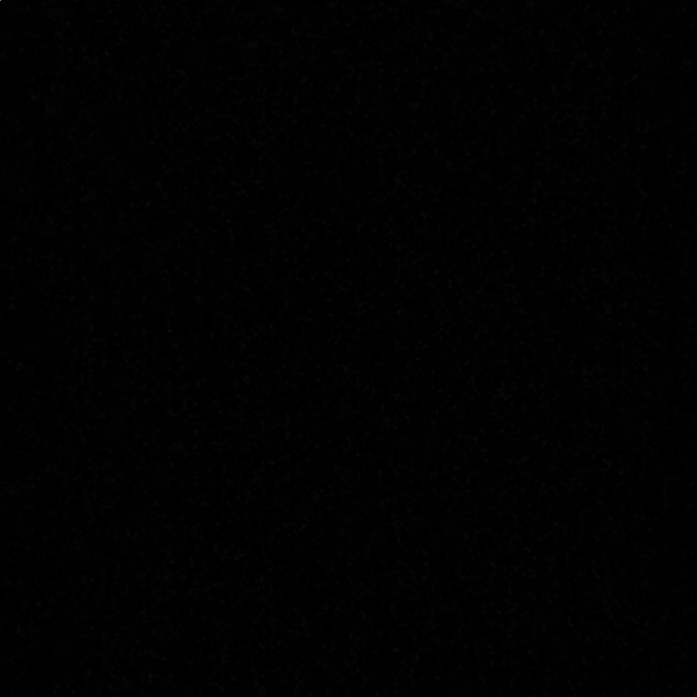 Meet your Posher, Adele